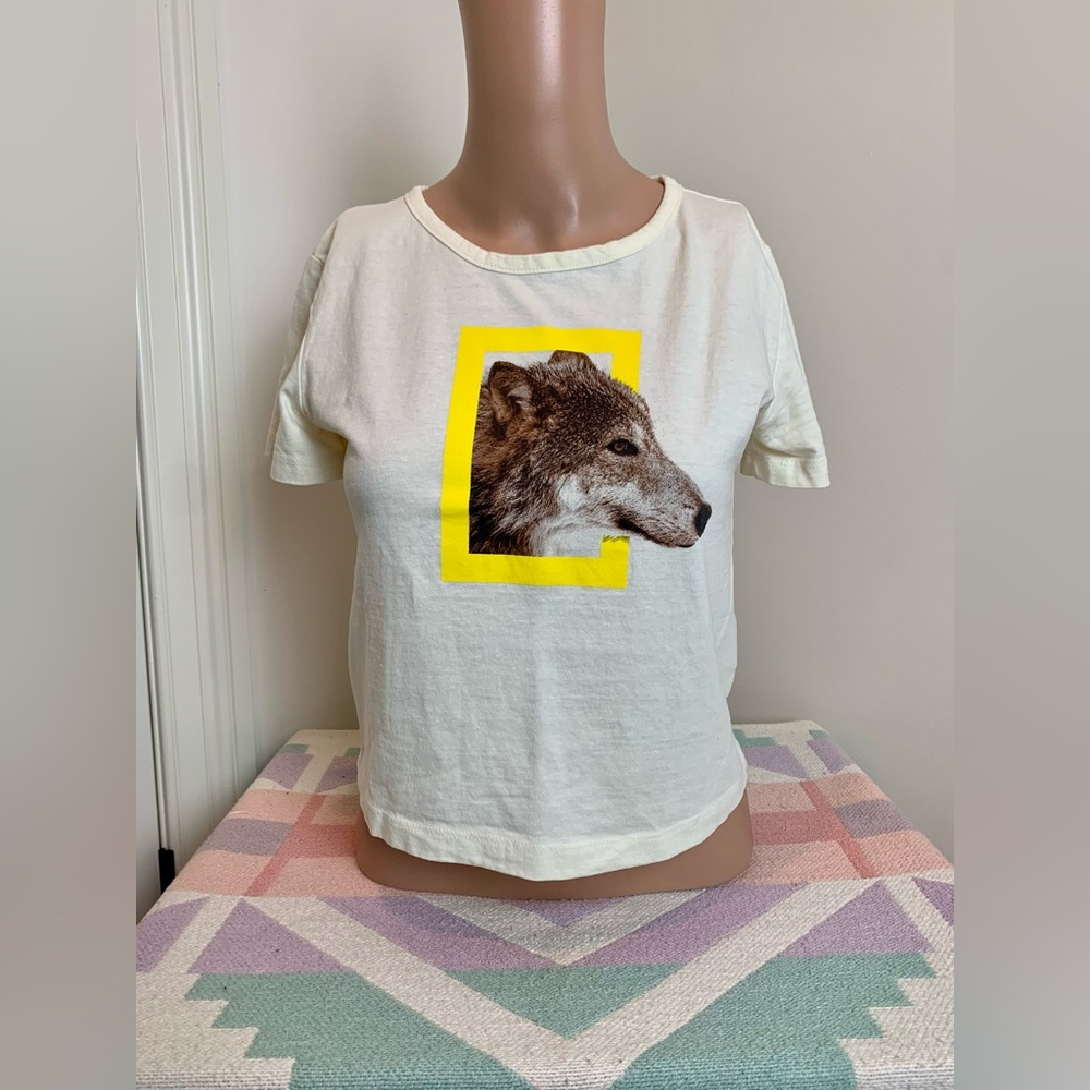 Pacsun x National Geographic t shirt